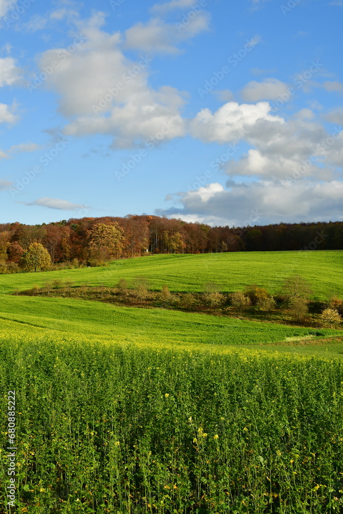 Green meadows fields with autumn forest odenwald Germany
