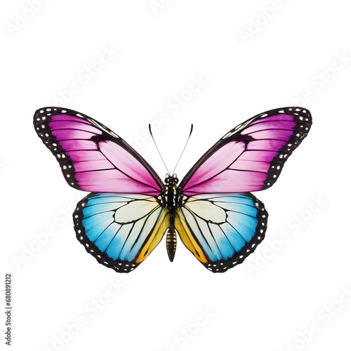 Exquisite  butterfly captured in high detail, perfect for educational use, nature-inspired graphic designs, and digital overlays with its transparent background