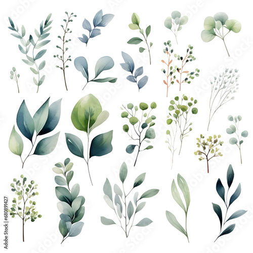 The set of watercolor flowers and leaves elements, illustrations, ai generatives
