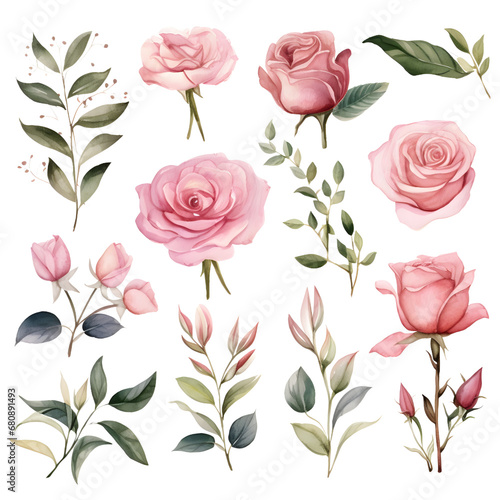 The set of watercolor roses and leaves elements, illustrations, ai generatives