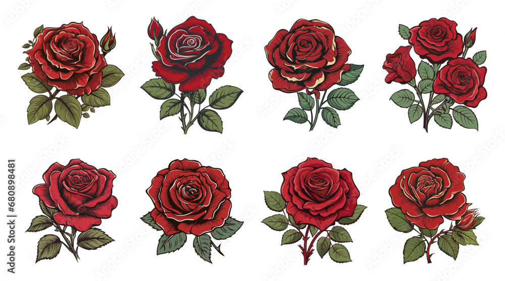 Fototapeta premium Set collection a red rose, Red rose vector Isolated on white background