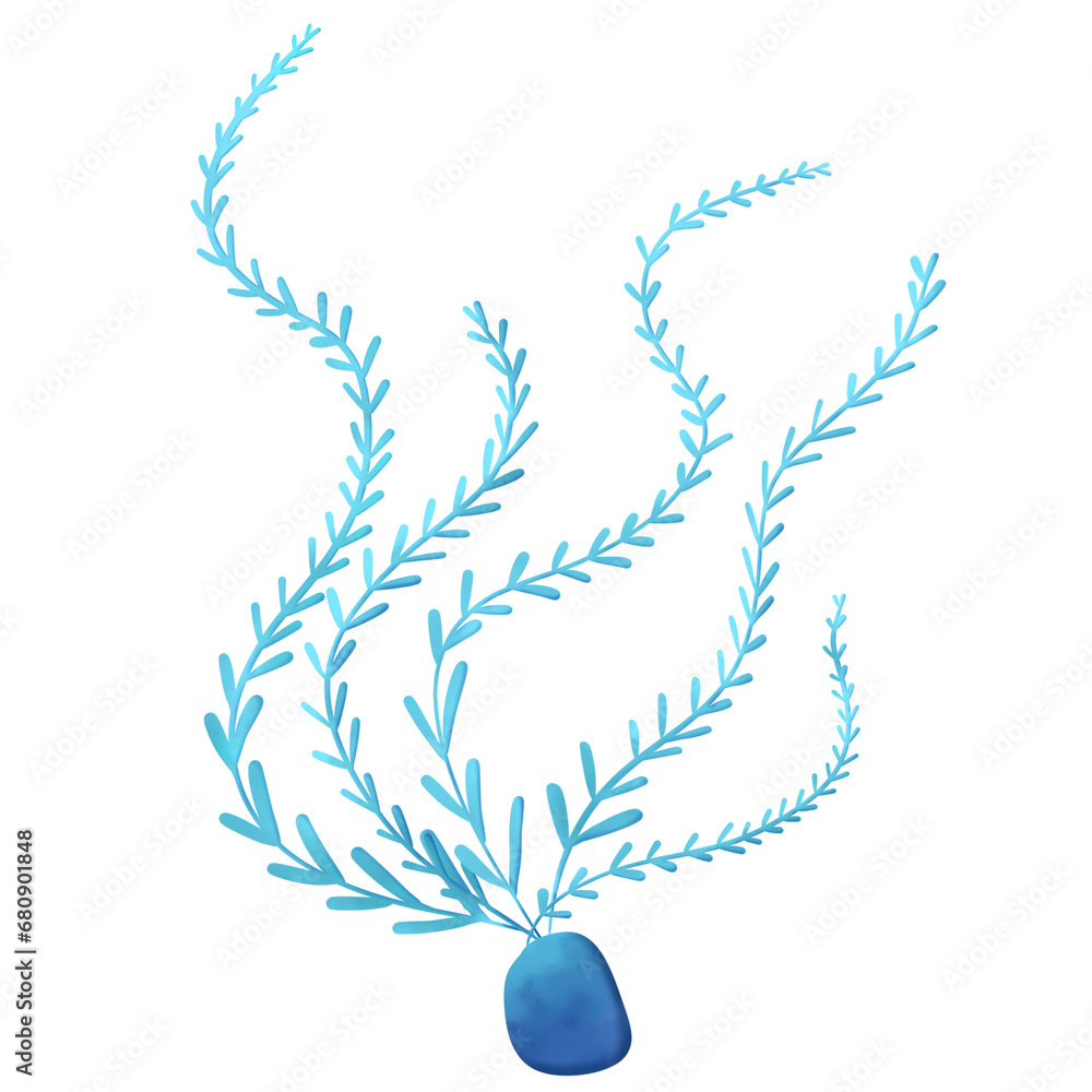 Obraz premium seaweed