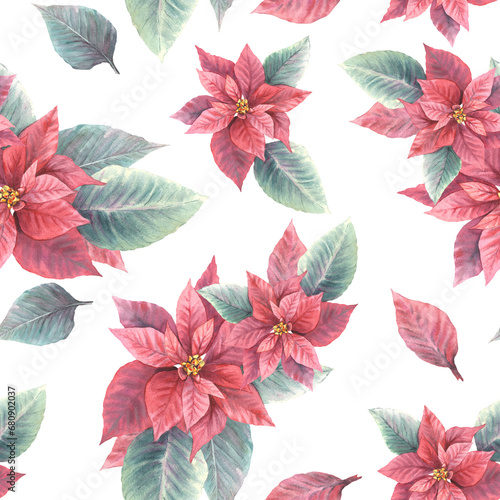 Watercolor painted illustration of red poinsettia, pulcherrima flowers, leaves seamless pattern. Traditional plant for Christmas or New Year decor, gift wrapping, cover art. Isolated, white background