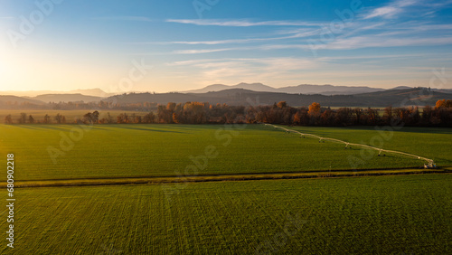 Sprawling Willlamette Valley Grass Seed Field in a Golden Sunset in Fall near Monmouth, Oregon, Pacific Northwest, United States - Aerial Photo