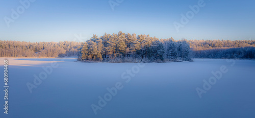 Forest and snow at sunset