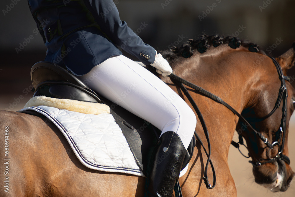 Obraz premium thoroughbred horse during a horse dressage competition