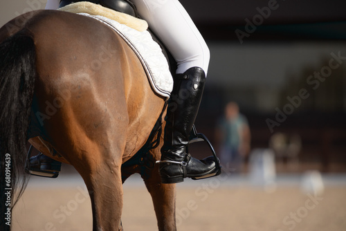 thoroughbred horse during a horse dressage competition © Rojo