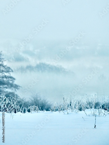 winter landscape, fog and snow in the background © Joanna SM