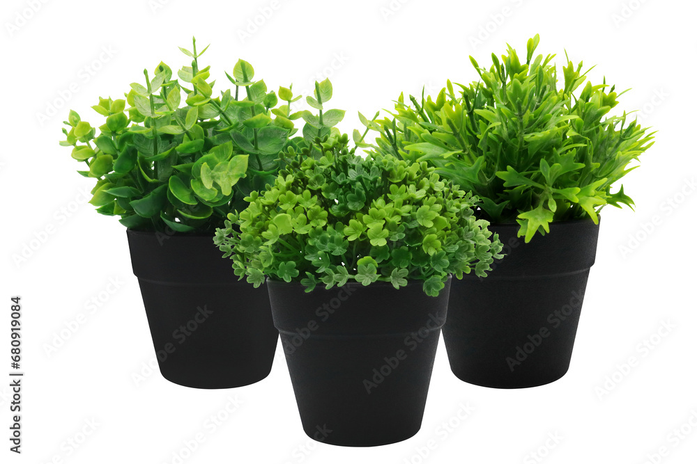 Three artificial houseplants on transparent background png Three artificial houseplants on transparent background png