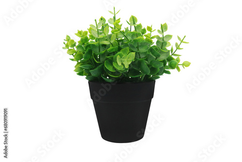 Artificial Potted Plant Front view in pot on transparent background png