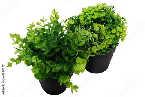 Two Artificial plants in black pots on transparent background png