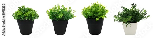 Set of artificial plants in flower pots on transparent background png photo