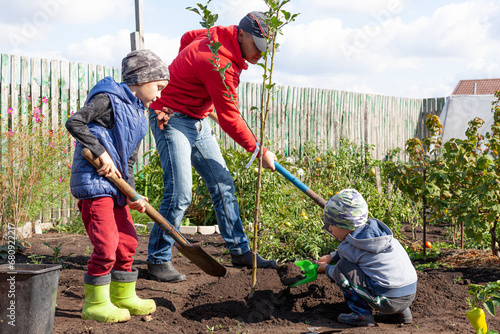 Father and sons plant a young tree on a small rural plot on an autumn sunny day