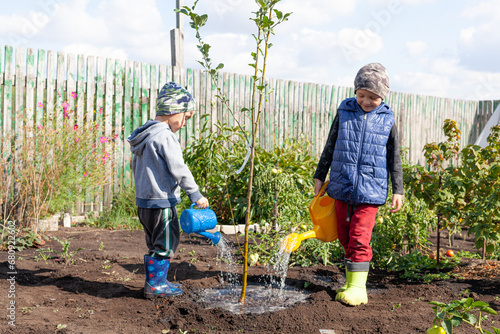the brothers water a young tree with a watering can on an autumn day