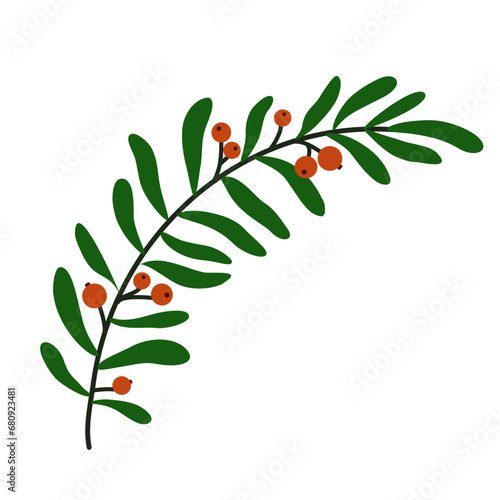 Christmas Tree branch with red berries. Winter seasonal coniferous sprig. Christmas holiday natural element. Flat vector illustration isolated