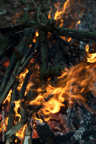 Closeup view of a flames of a fire 