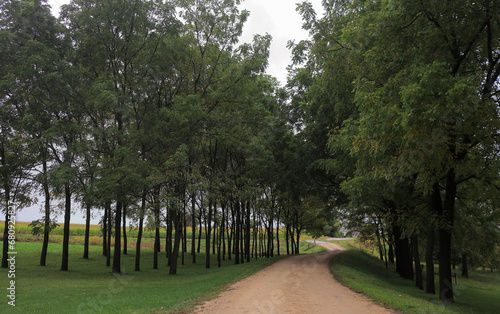 A dirt road winds through a small grove of trees on its way to join a paved country road in the distance. Cloudy weather, soft afternoon light. Early fall day. Midwestern United States. Green grass photo