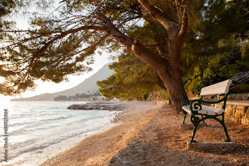 Coast at the adriatic sea, beautiful place with sunset and calm waves, pine trees and lonely bench. Mental health concept