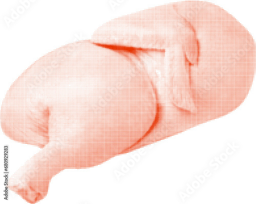 chicken raw half carcass isolated, from red circle dots of different sizes on white background