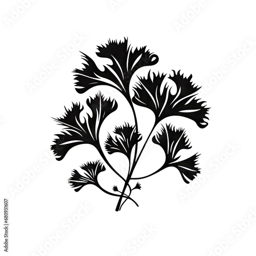 Ginkgo Biloba Leaves Isolated, Gingko Leaf Icon, Ginko Tree Twig, Living Fossil, Minimal Ginkgo Leaves