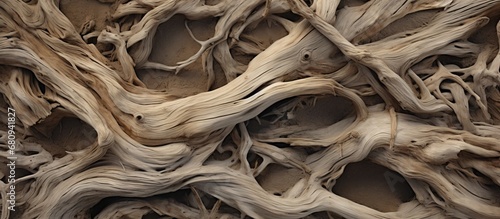 Background of driftwood texture photo