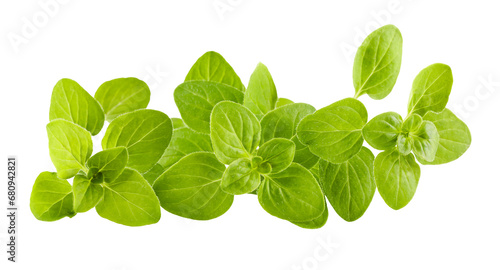 Branch of oregano spices herbs. Fresh spicy herb. Gardening farming, isolated. Green leaves food ingredient for cooking. PNG.