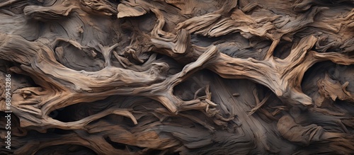 Background of driftwood texture photo
