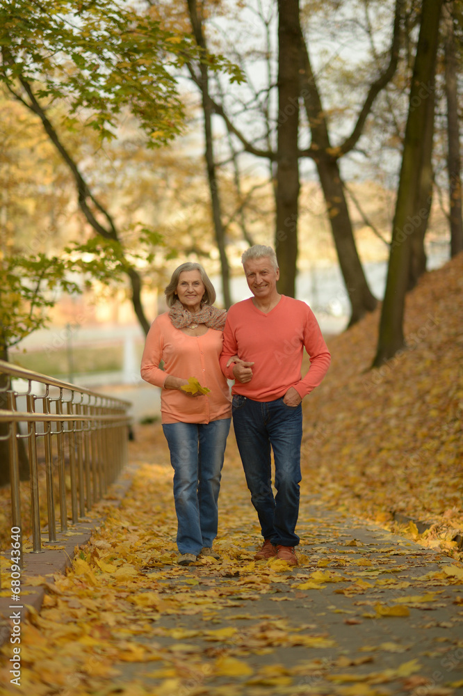 Elderly couple dance in the park in autumn. Elderly couple dance in the park in autumn.