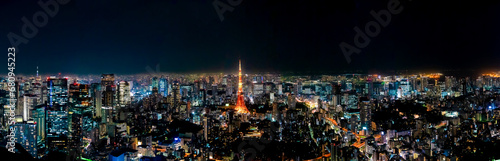 Photography panoramic, tourist attractions in the city park of Tokyo, Asia business concept image, panoramic modern cityscape building in Japan
