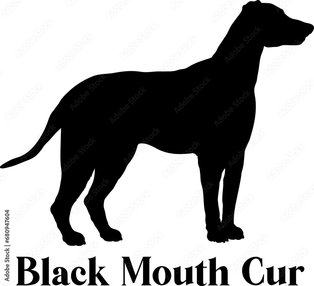 Black Mouth Cur Dog silhouette dog breeds logo dog monogram logo dog face vector
SVG