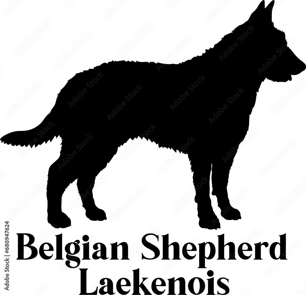 Belgian Shepherd Dog silhouette dog breeds logo dog monogram logo dog face vector
SVG