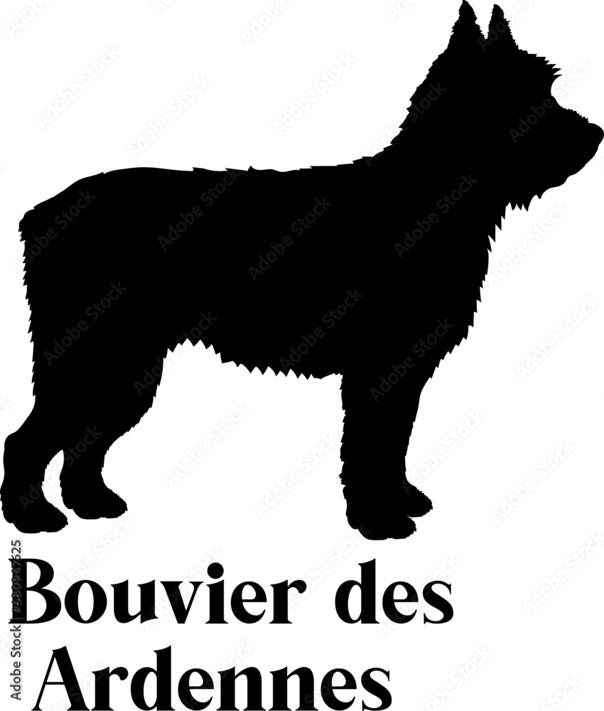Bouvier des Ardennes Dog silhouette dog breeds logo dog monogram logo dog face vector
SVG