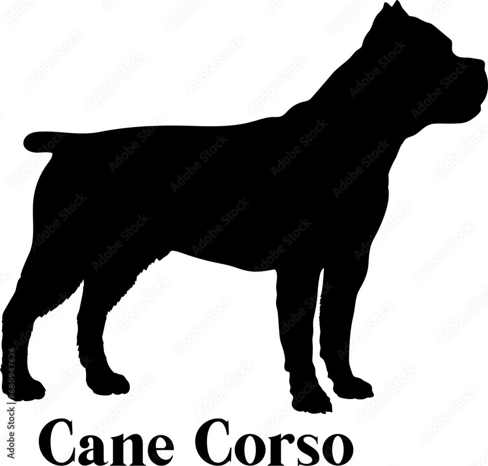 Cane Corso Dog silhouette dog breeds logo dog monogram logo dog face vector
SVG