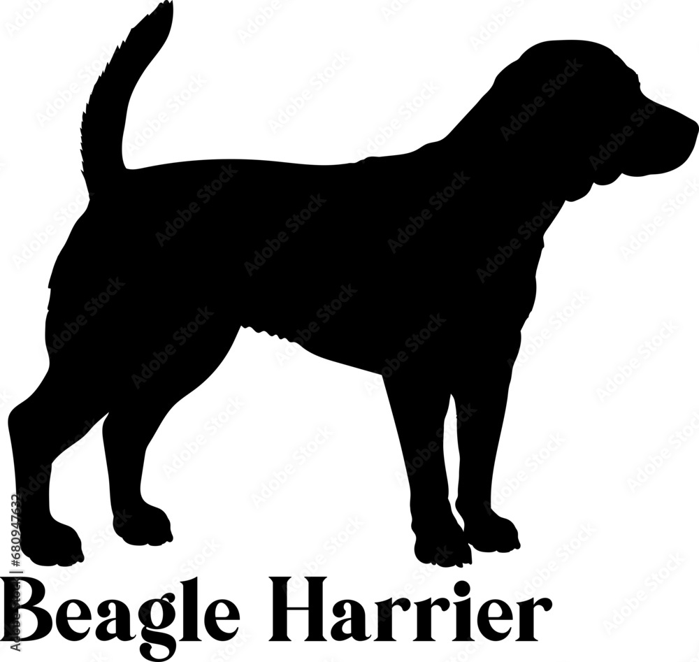 Beagle Harrier Dog silhouette dog breeds logo dog monogram logo dog face vector
SVG