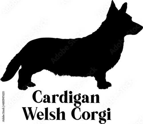 Cardigan Welsh Corgi Dog silhouette dog breeds logo dog monogram logo dog face vector
SVG