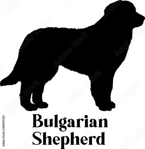 Bulgarian Shepherd Dog silhouette dog breeds logo dog monogram logo dog face vector SVG