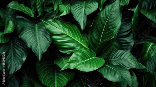 Tropical foliage as a creative nature concept © Classy designs