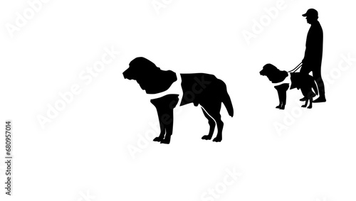 Guide dog, blind people, labrador
