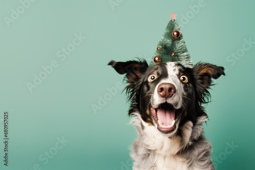 Obraz na płótnie Joyeux Toutou : Un Chien Habillé pour les Fêtes de Fin d'Année en Mode Surprise w salonie