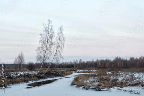 Winter landscape with a birch on the shore of the river.