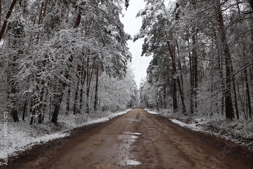 Leśna droga w zimie © Monika