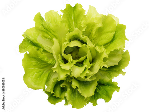 Broad leaved endive isolated on transparent or white background, png photo