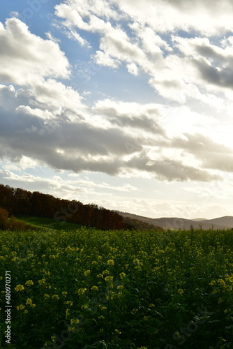 Green Meadows and clouds with sunrays Muehltal Traisa germany