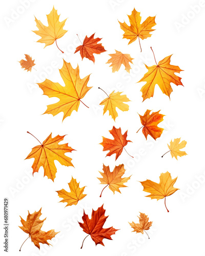 Falling leaves isolated on transparent or white background, png