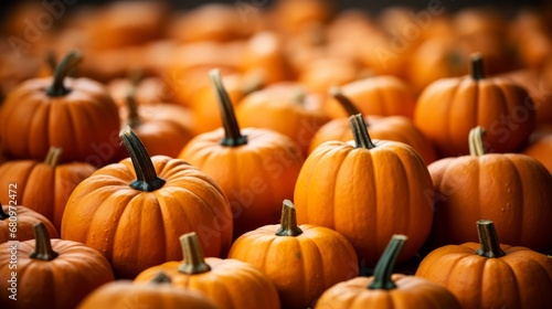 Close-up macro photograph of a group of large pumpki