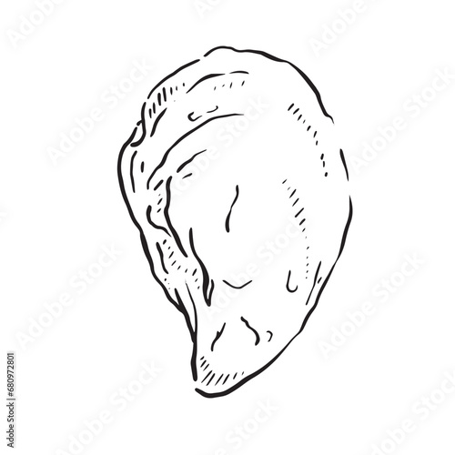 A line drawn illustration of an oyster shell. Black and white hand drawn sketch with subtle shading.