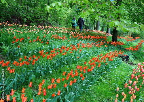 garden show,gartenschau photo