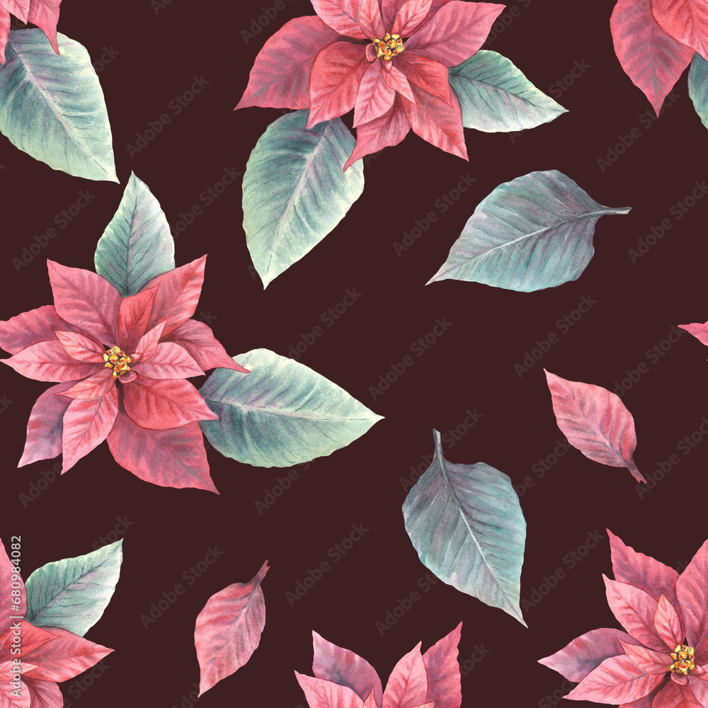 Fototapeta premium Watercolor painted illustration of red poinsettia, pulcherrima flowers, leaves seamless pattern. Traditional plant for Christmas or New Year decor, gift wrapping, cover art. Isolated, dark background