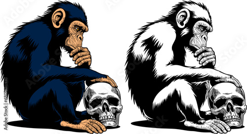 a pensive monkey sits near a human skull