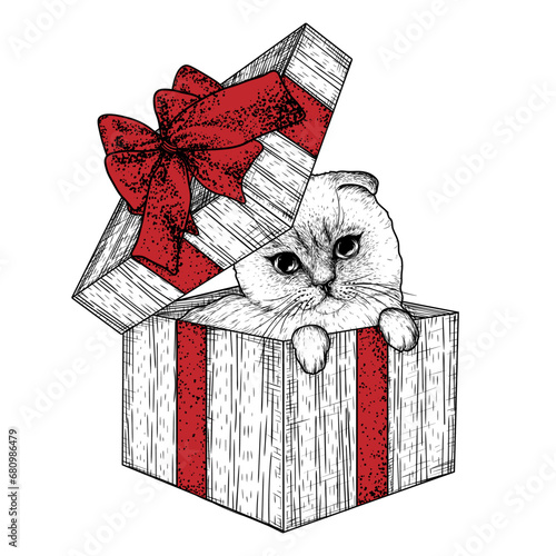 Vector illustration of a folded Siamese cat in a gift box with a bow in engraving style